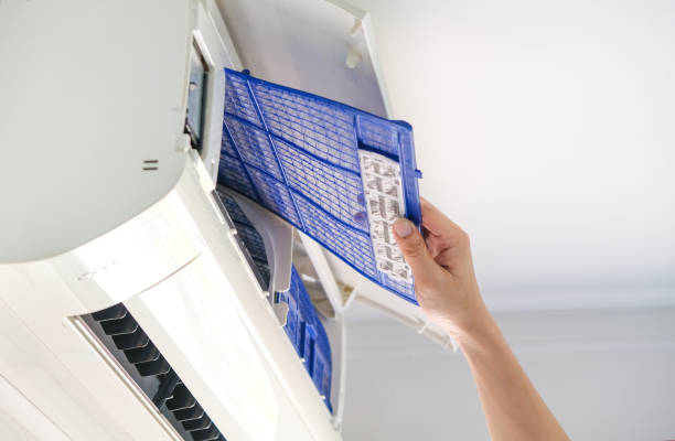 Best Local Air Duct Cleaning Services  in Vardaman, MS