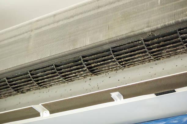 Best Affordable Duct Cleaning Services  in Vardaman, MS